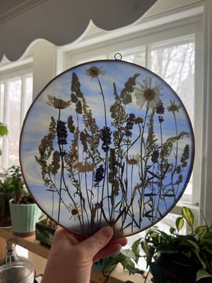 Wildflower field with Daisies
