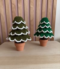 Image 1 of CHRISTMAS TREES MINI