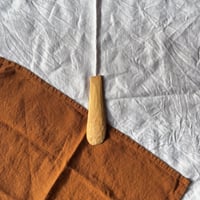 Image 2 of Serving Scoop