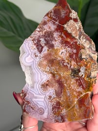 Image 3 of PURPLE AGUA NUEVA AGATE 