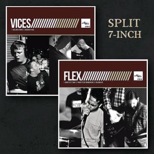 Image of vices/flex 5 track split 7 inch 