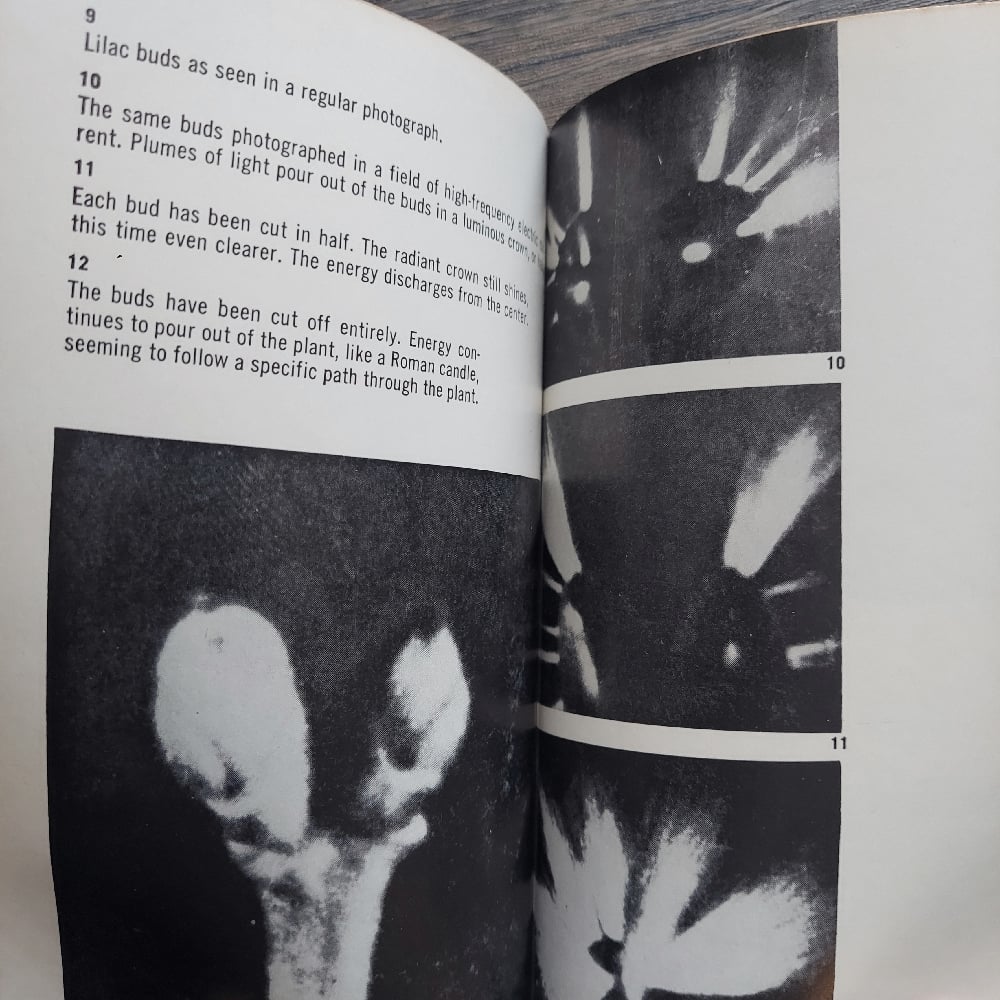 Psychic Discoveries Behind the Iron Curtain, by Sheila Ostrander and Lynn Schroeder