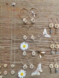 Image 5 of Moonstone Daisy Hoops