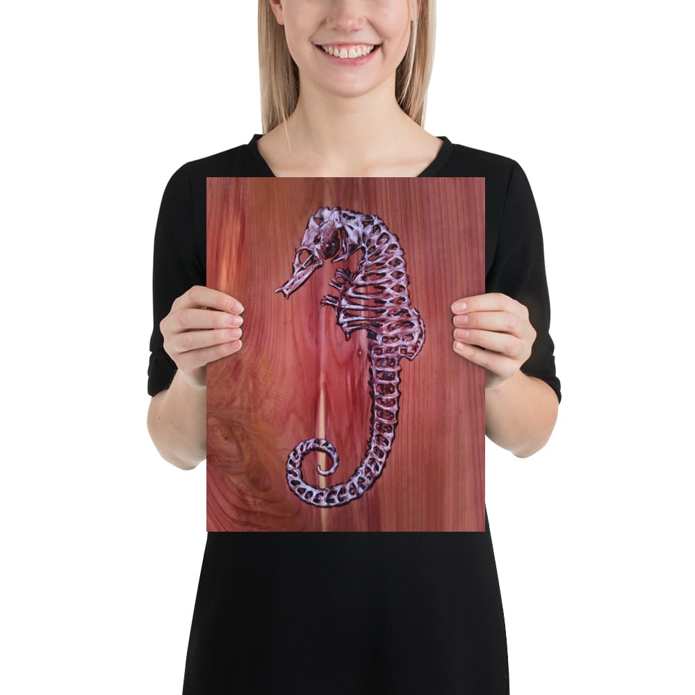 Photo Print: Seahorse Skeleton