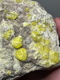 Image 5 of Sulphur On Matrix Specimen | Bolivia #2818