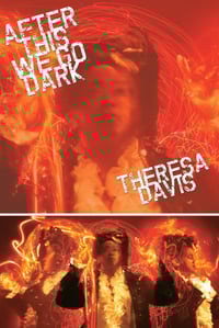 Image 1 of ALA Over the Rainbow Title! After This We Go Dark by Theresa Davis