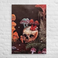 Image 5 of Circle of life canvas prints