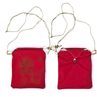 Red Envelope Lion Dance 