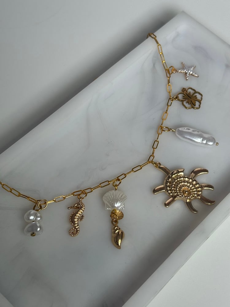 Image of Bora Bora Charm Necklace