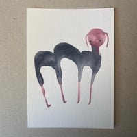 Image 1 of NEW ANIMAL A