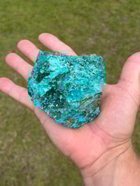 Image 11 of Atacamite Specimen #2334