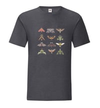 Image 3 of 12 Hawk-moth Collage T-shirt