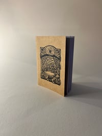 Image 5 of Frog Notebooks