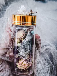 Image 3 of Reserved for Jennifer !!! Baby dove 