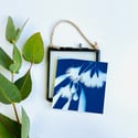 Flowering Gum - Mini Framed Cyanotype