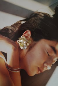 Image 2 of Perla