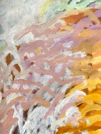 Image 2 of sunset casts a web