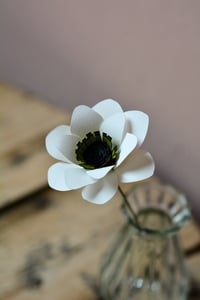 Image 1 of Anemone