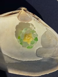 Image 2 of star gazer