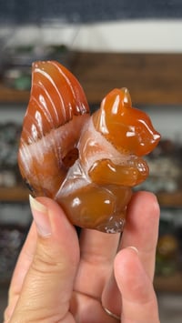 Image 3 of Carnelian Squirrels