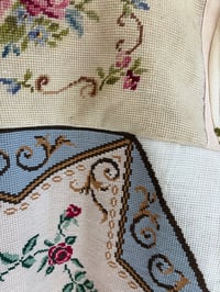 Image 8 of Rose star (l/xl)