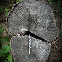 Image 3 of Twisty McTwisterson- 4 3/4”