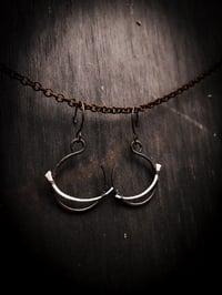 Image 1 of snake rib swoops