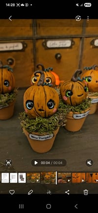 Image 4 of Mme Pumpkin Ginette 2