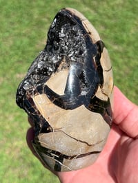 Image 8 of Septarian Nodule Polished Freeform With Calcite Inclusions| Madagascar #2892