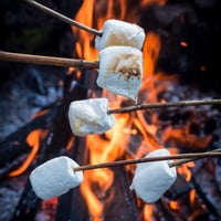 Campfire minis