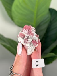 Image 3 of PINK TOURMALINE IN FELDSPAR CLUSTERS -PAKISTAN-