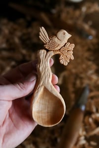 Image 8 of The Wren in The Oak Coffee Scoop