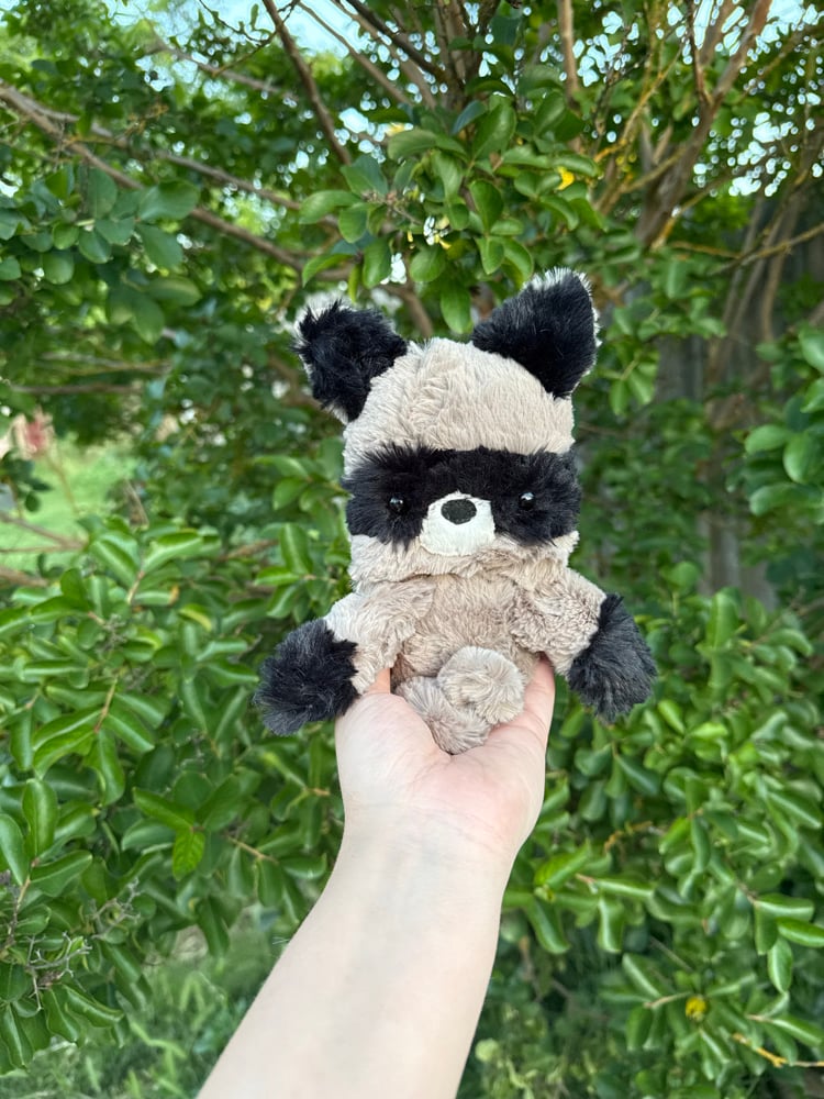 Image of PREORDER floppy raccoon 
