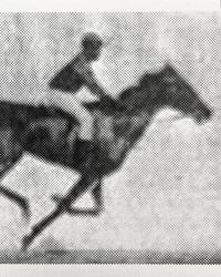 Image 3 of Year of the Horse Print