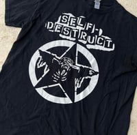 Image 2 of self destruct 