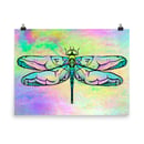 Image 3 of Dragonfly Poster
