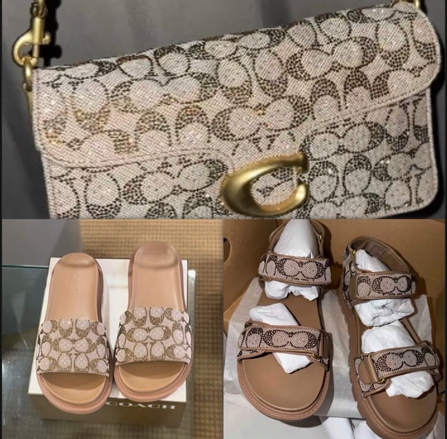 Luxe Matching Set (Purse & Your Choice of Sandals) PREORDER.