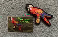 Image 1 of RainBro Macaw Patch & Sticker Combo