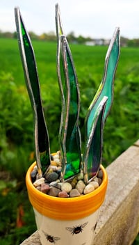 Image 2 of Stained Glass Snake Plant in Bee Pot 🐝 