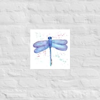 Dragonfly Print