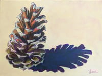 Image 1 of Loblolly Pine Cone #1