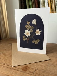 Wood Sorrel Greeting card