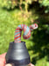 Image of Loopy MouthPieces 
