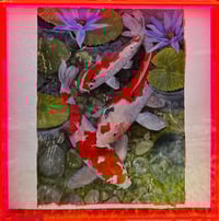 Image 2 of Pink Fish Tank