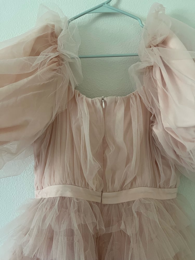 Image of Pale pink frills dress