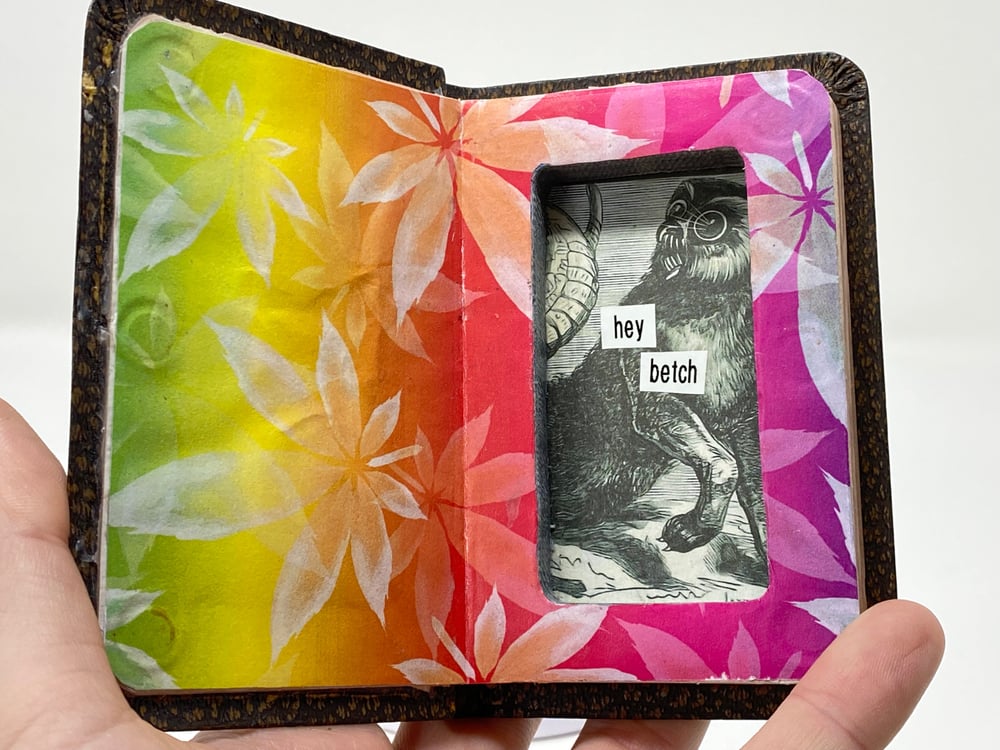 Image of Pocket Bible Joint Case (hey betch)