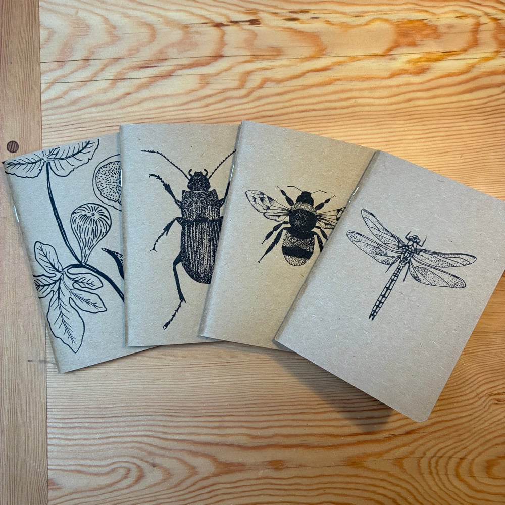 Image of Insect notebooks