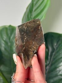 Image 3 of HALF POLISHED HIMALAYAN RUTILE IN QUARTZ CLUSTER B