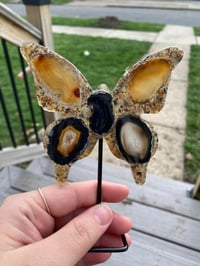 Image 1 of Butterfly Agate