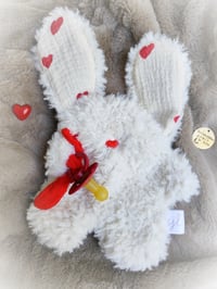 Image 1 of Inséparable Fluffy Cœurs d'amour ❤️